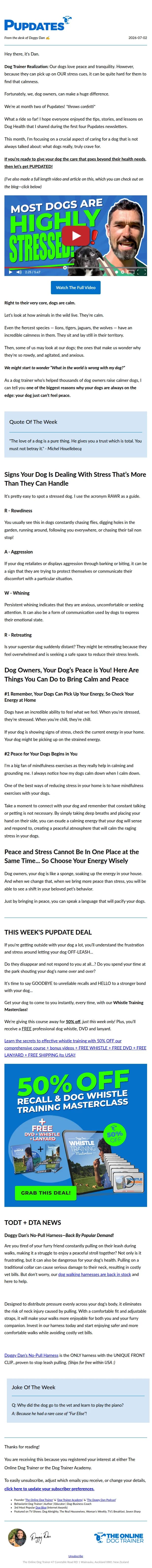 Doggy Dan email: Dogs Crave for Peace and Tranquility... And YOU Can Help Them Feel It