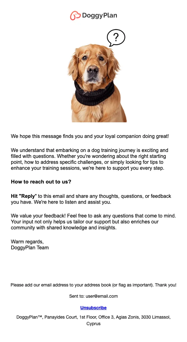 DoggyPlan email: Your opinion matters