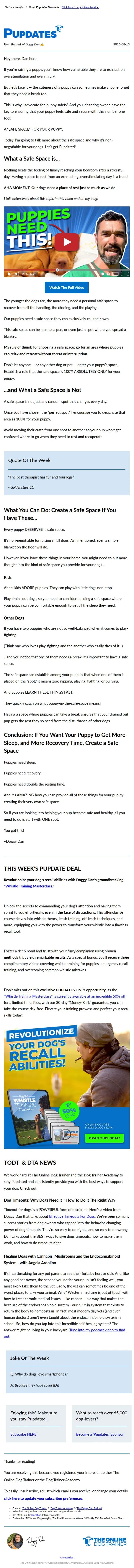 The Online Dog Trainer email: Creating a “Safe Space” for Your Puppy’s Safety