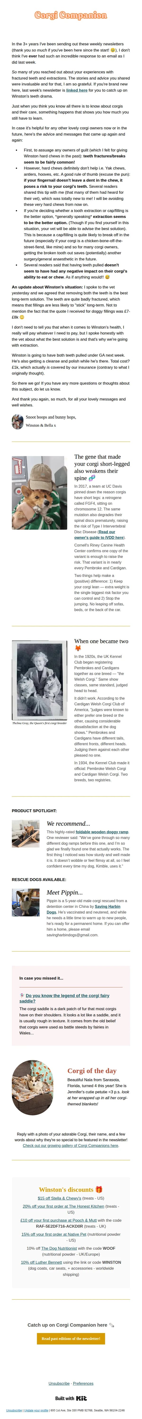 Corgi Companion email: the dog chew "fingernail test" I wish I'd known