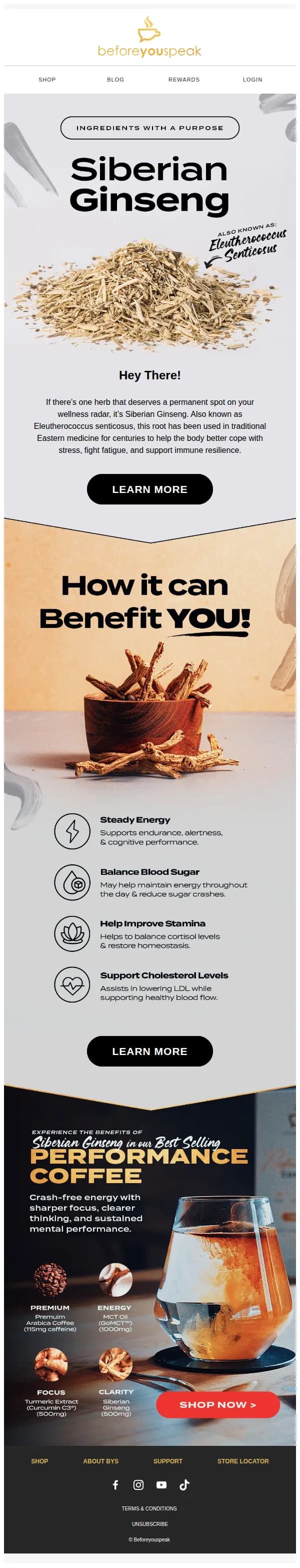 Beforeyouspeak Coffee email: Spotlight: Siberian Ginseng 🔍
