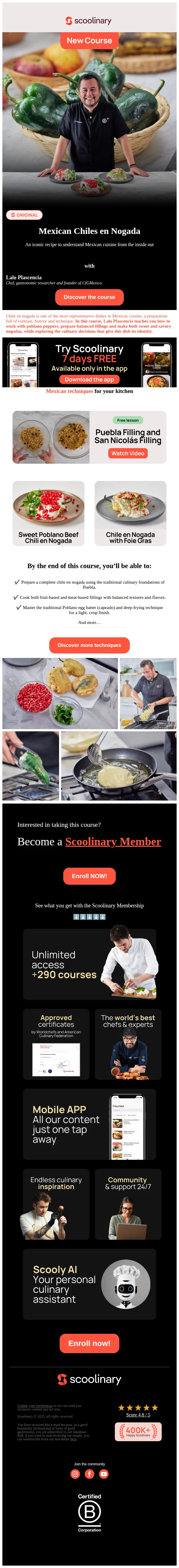 Scoolinary email: 🌶️ Chile en Nogada: A Mexican Culinary Gem 🇲🇽