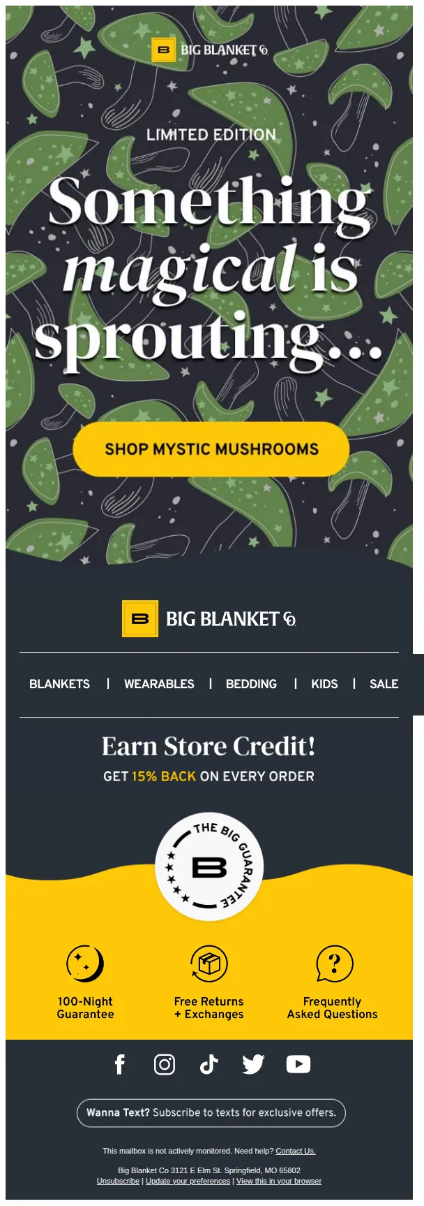 BIG BLANKET CO email: Something magical is sprouting… 🍄