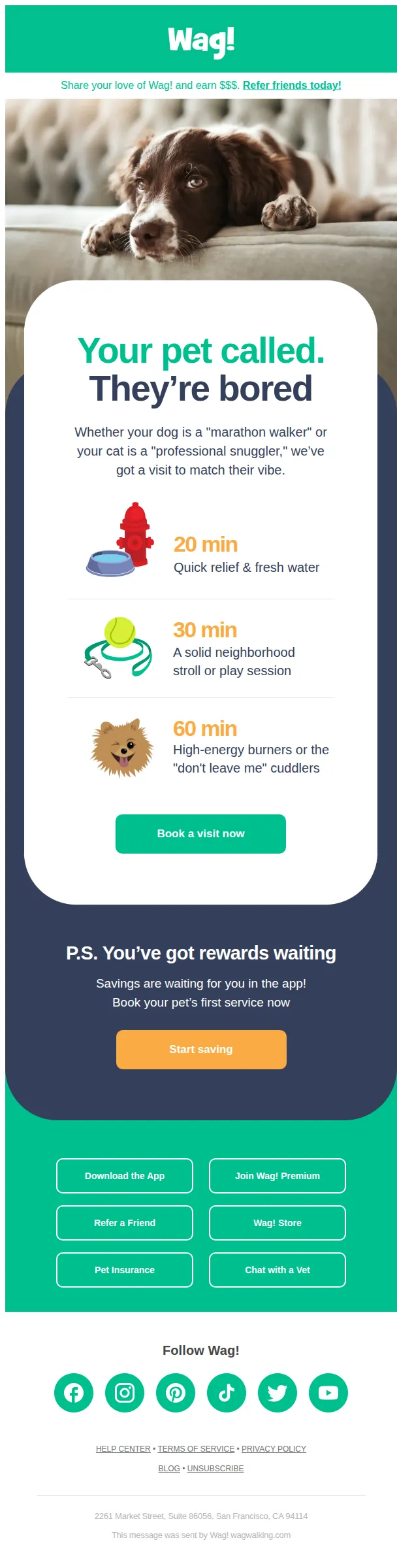 Wag! email: Custom care for your favorite roommate