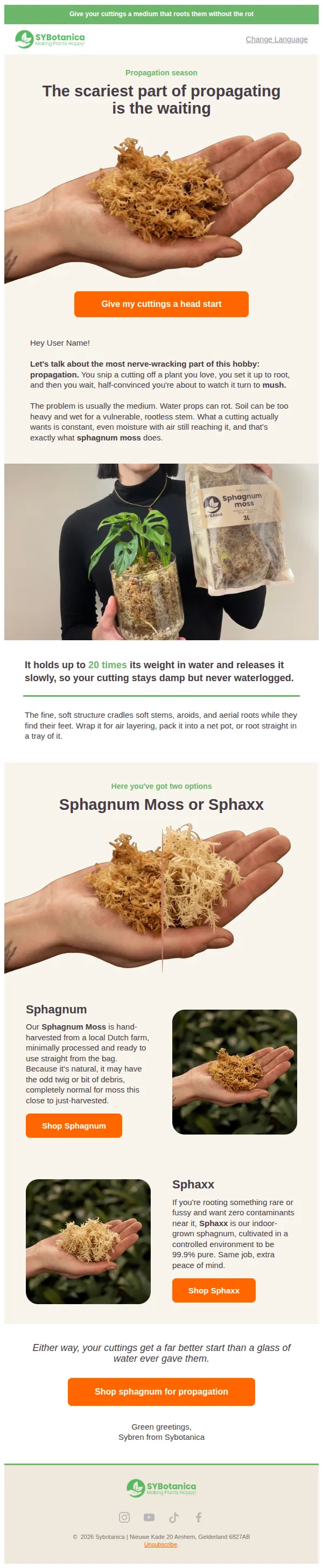 Sybotanica email: The scariest part of propagating is the waiting