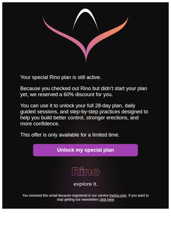 Rino email: Your 60% discount is still active