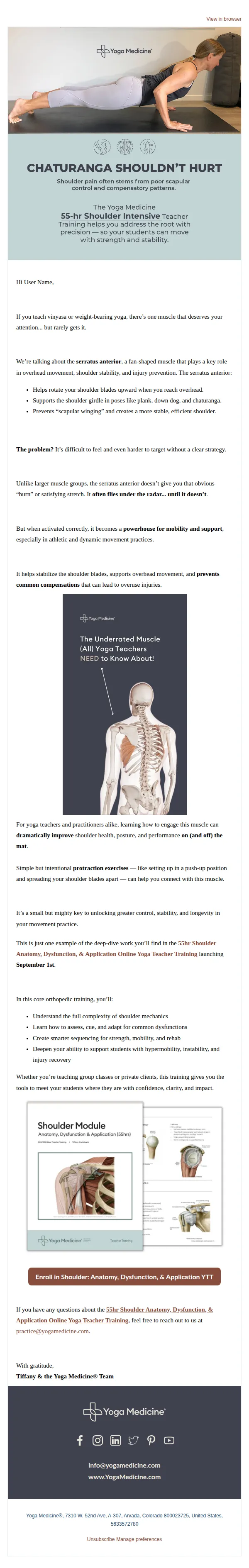 Yoga Medicine email: The Muscle Behind Every Strong Vinyasa 🔍
