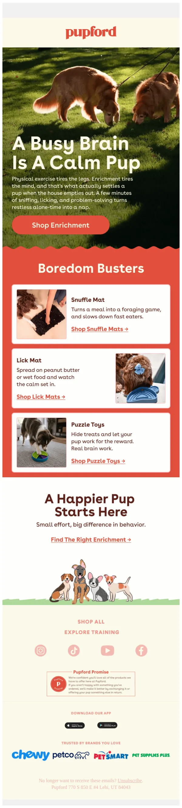 Pupford email: Keep Their Brain Busy While You're Out