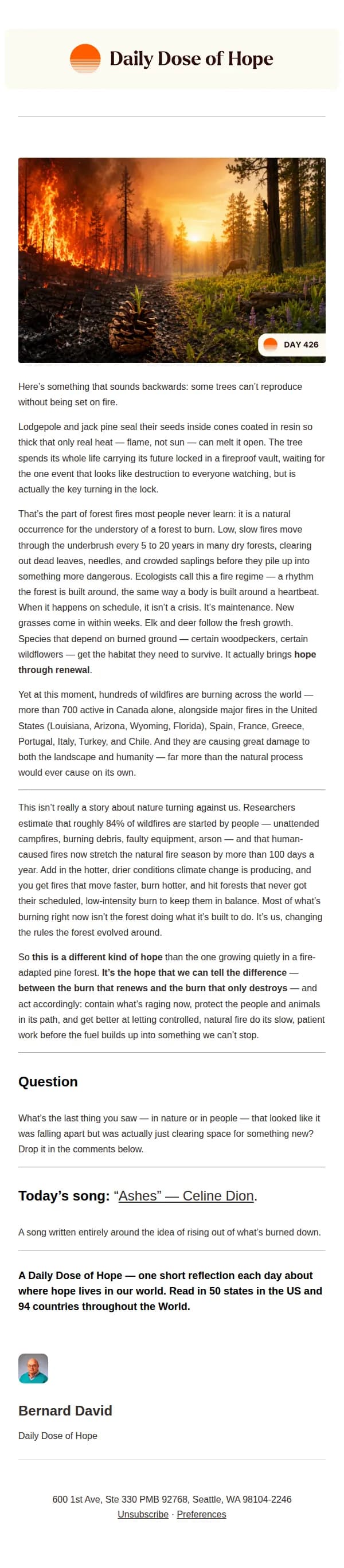 Daily Dose of Hope email: Why a Burning Forest Is Still a Story of Hope